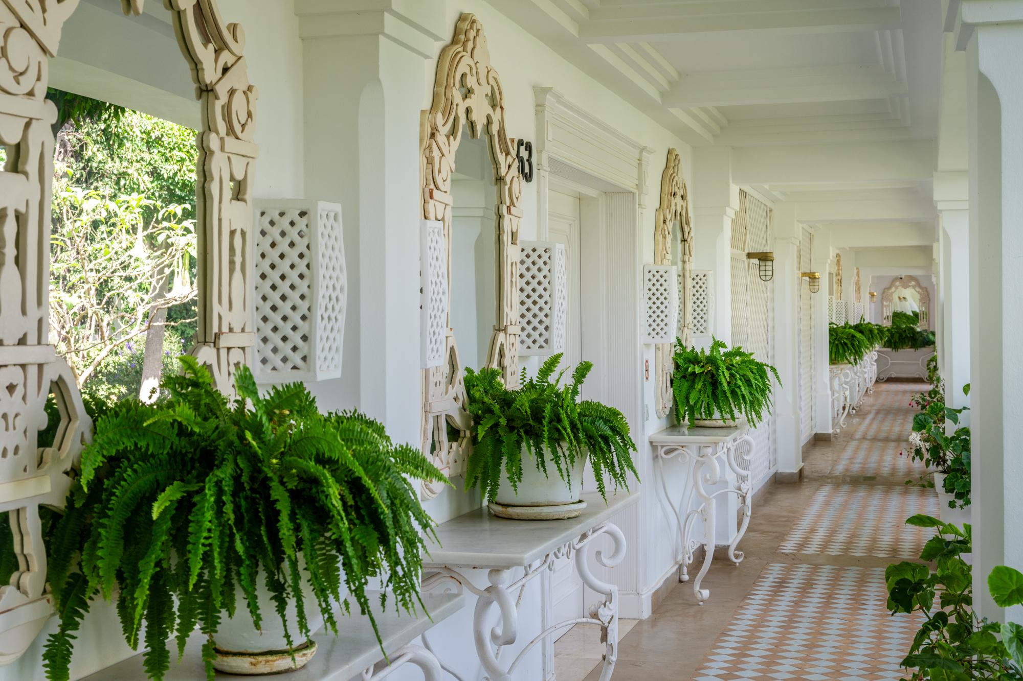 Suite Deluxe 